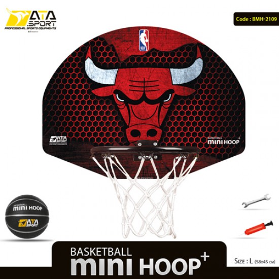 بسکتبال خانواده (L) طرح CHICAGO